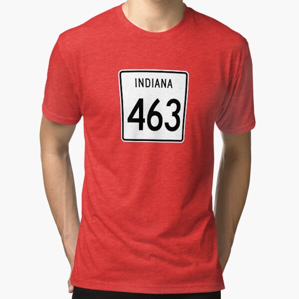 Indianapolis 463 Area Code Skyline Indiana Vintage SVG PNG, 53% OFF