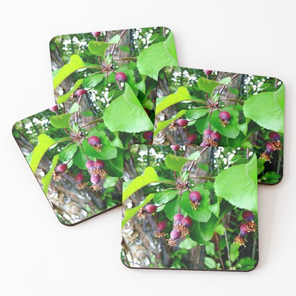 Item preview, Crab Apple Buds designed and sold by Caryn Pinkston.