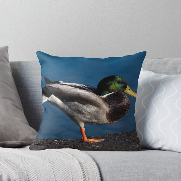 Item preview, Pato De Yoga designed and sold by Loopy-Lou.