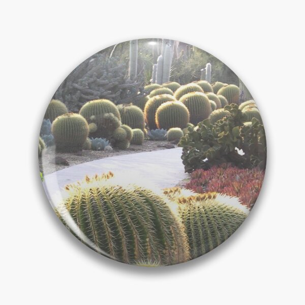 Item preview, Cacti II designed and sold by papaziand.