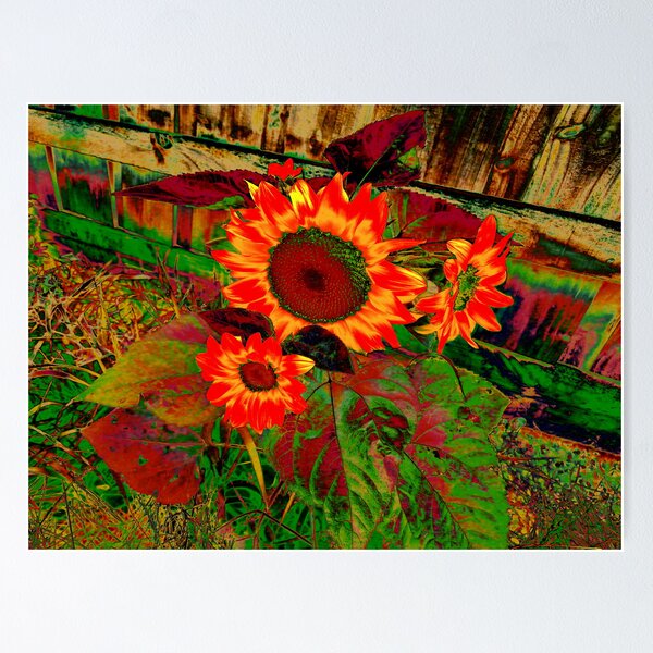 Item preview, sunflower designed and sold by DMEIERS.