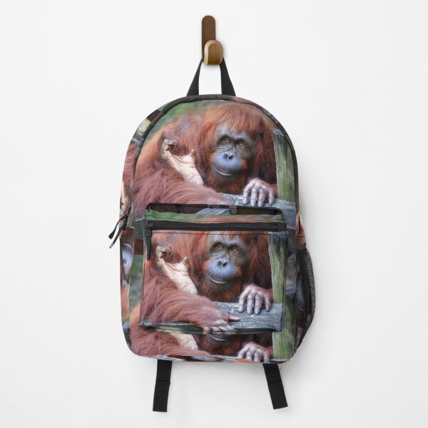Item preview, Orangutan designed and sold by Savannah Gibbs.