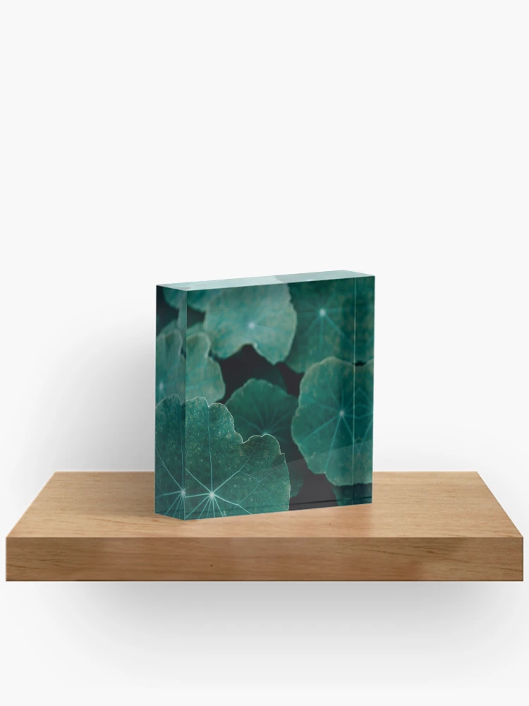 Thumbnail 2 of 5, Acrylic Block, Depth designed and sold by Basic310.