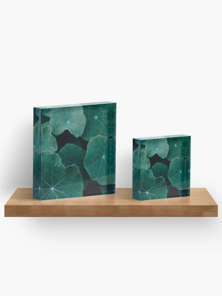 Thumbnail 3 of 5, Acrylic Block, Depth designed and sold by Basic310.