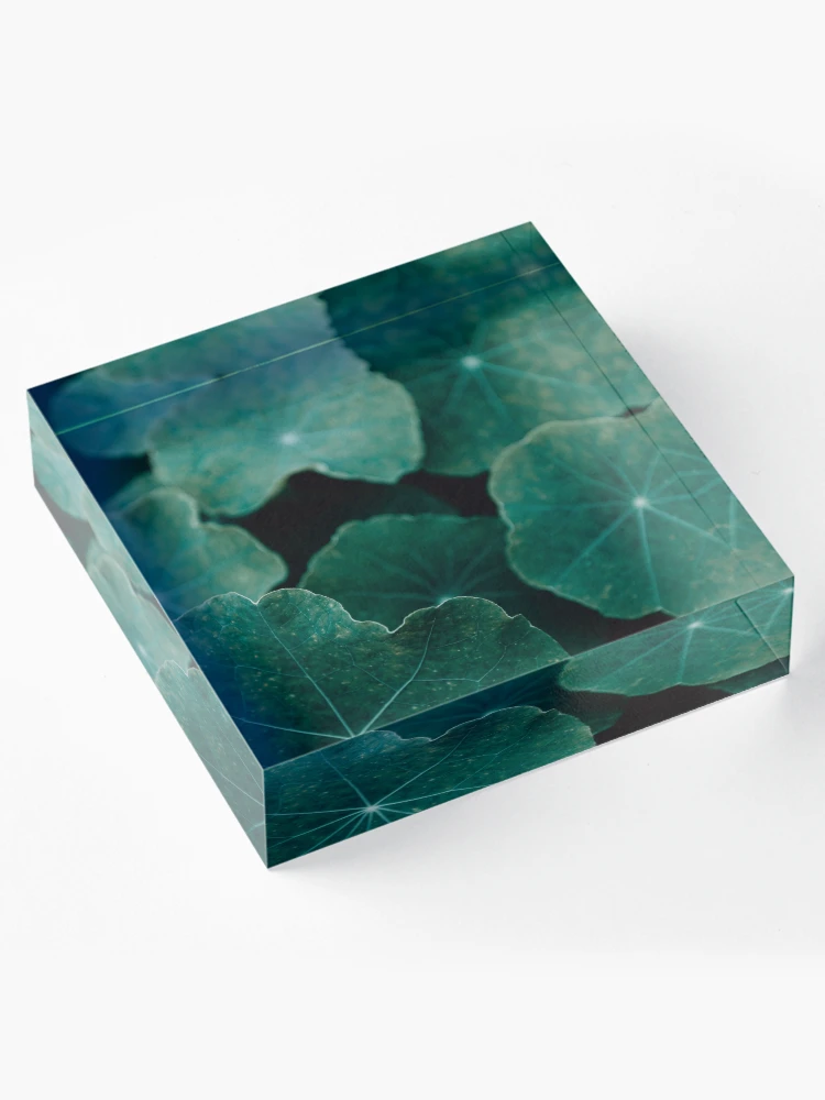 Thumbnail 4 of 5, Acrylic Block, Depth designed and sold by Basic310.