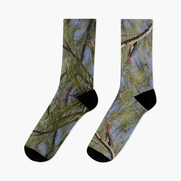 Item preview, Green Heron in Tropical Pine Trees designed and sold by Caitlin Chock.