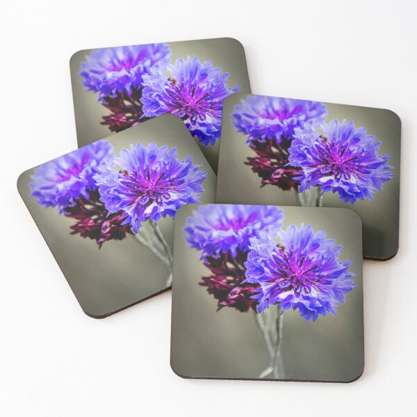 Item preview, Cornflowers designed and sold by JEZ22.