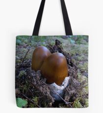 Lets Do Push-Ups Tote Bag