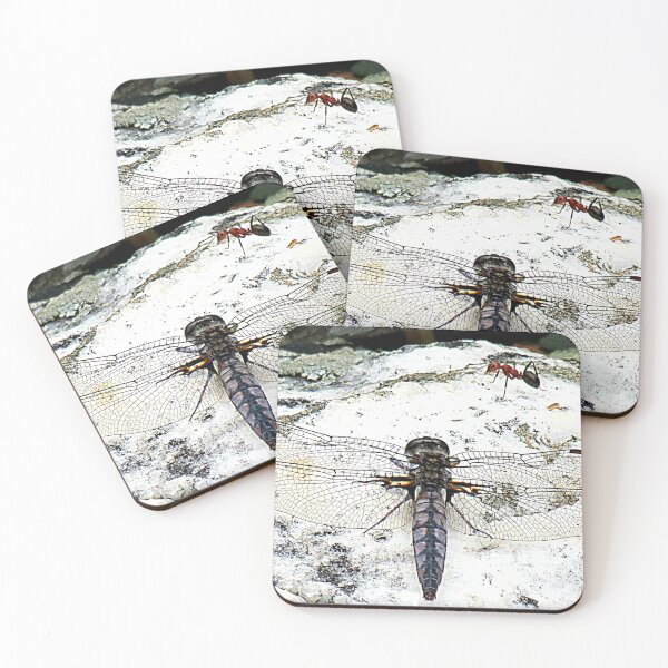 Item preview, An Encounter On White Quartz designed and sold by Jean Gregory Evans.