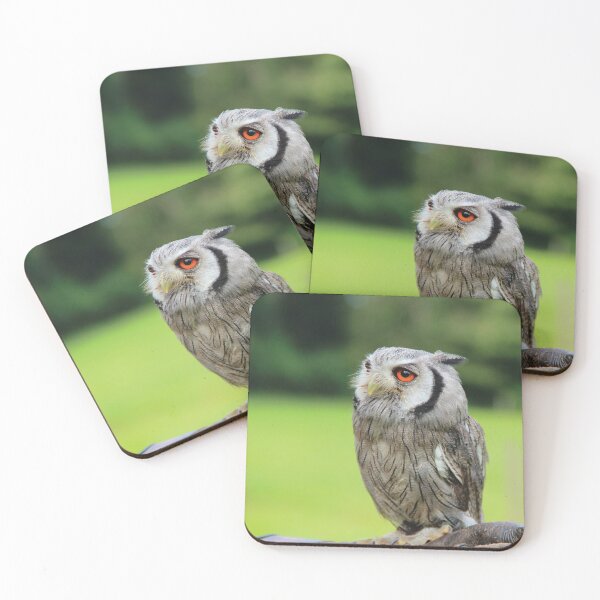 Item preview, Northern white-faced owl designed and sold by Neonyx2020.
