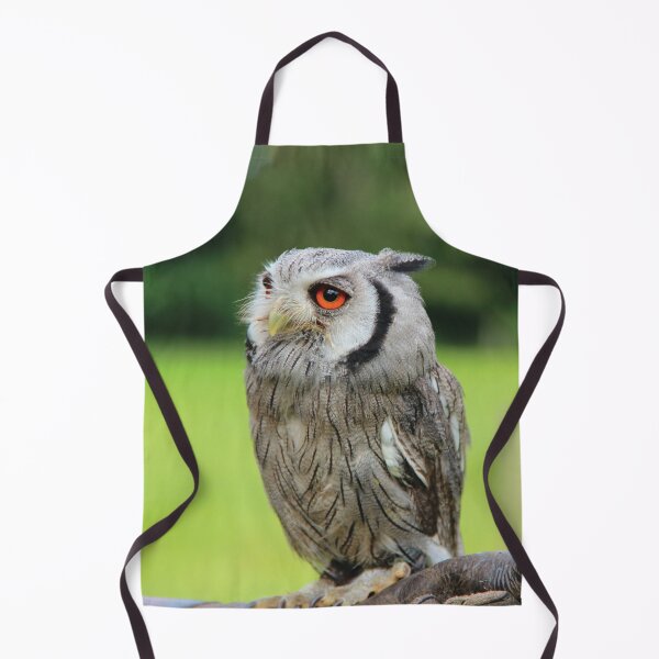 Item preview, Northern white-faced owl designed and sold by Neonyx2020.