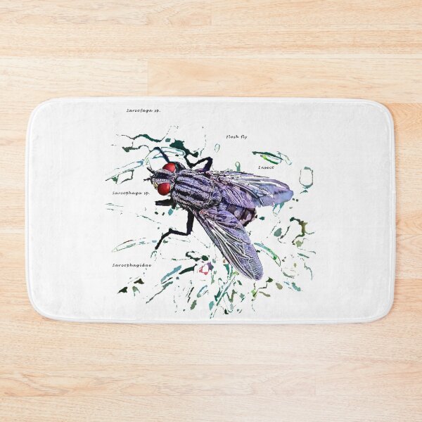 Item preview, Funny Insects Entomology Gifts - Cute Flesh Fly Modern Portrait designed and sold by r-silver.