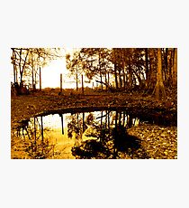 Reflections Photographic Print