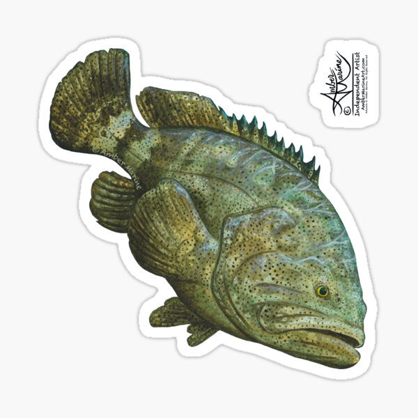 Item preview, "Goliath Grouper" by Amber Marine ~ Watercolor painting, art © 2016 designed and sold by Amber Marine ~ Wildlife Artist ~ © 2004-2021.