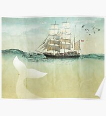 White Tail Poster