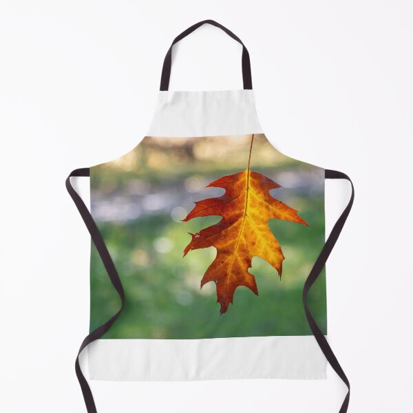 Item preview, Autumn leaf designed and sold by pietrofoto.