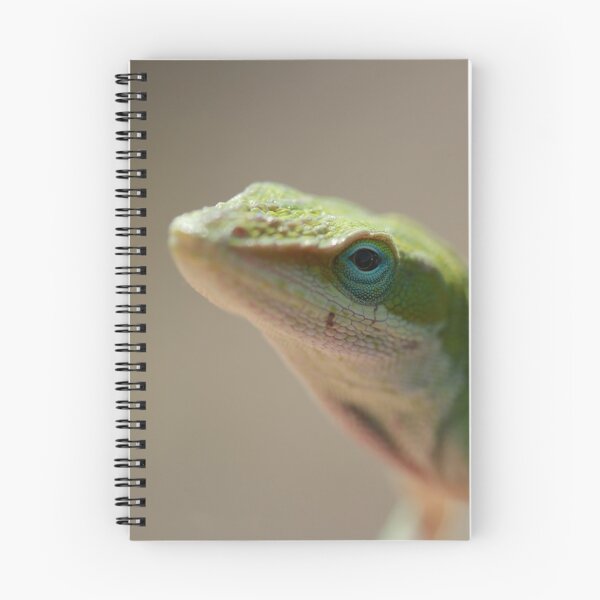 Aperçu de l'œuvre Portrait d'un anole vert créée et vendue par StampCity.