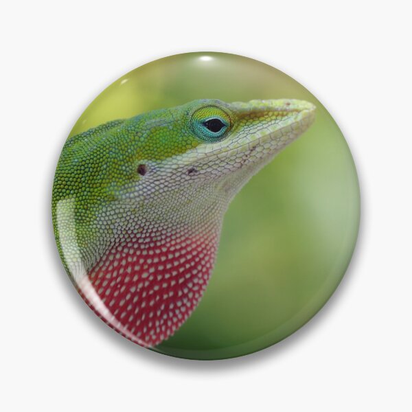 Item preview, Green Anole Displaying Dewlap designed and sold by StampCity.