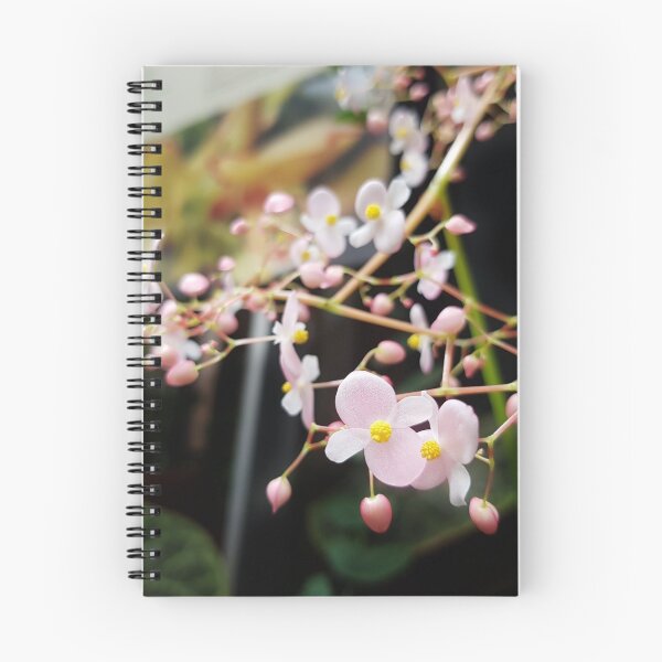 Item preview, Pink flower designed and sold by yinon-h.