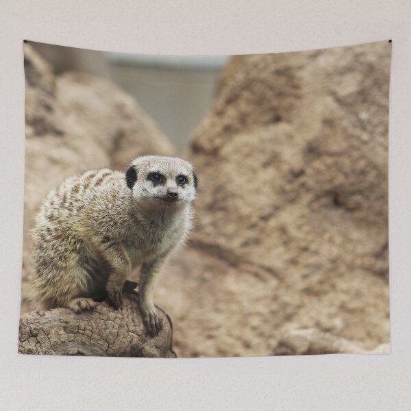 Item preview, Cute Meerkat designed and sold by Jrw-Design.