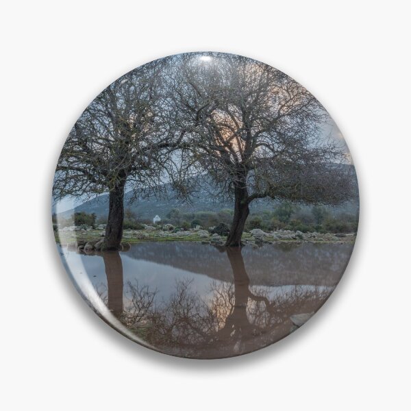 Item preview, Supramonte Baunei Trees designed and sold by danielefanniph.