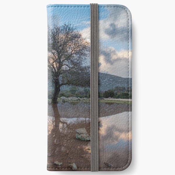 Supramonte Baunei Trees iPhone Wallet