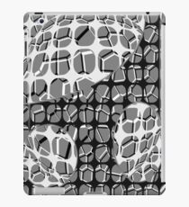 Color iPad Case/Skin