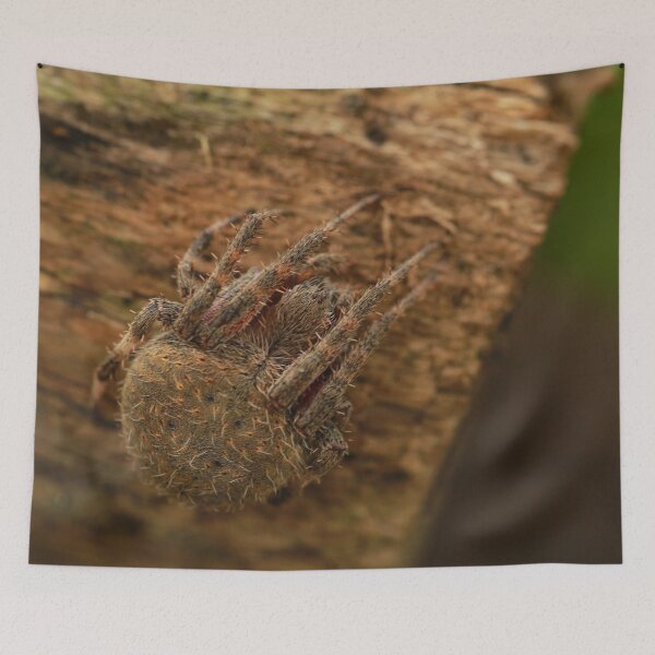 Item preview, Fuzzy Spider designed and sold by StampCity.