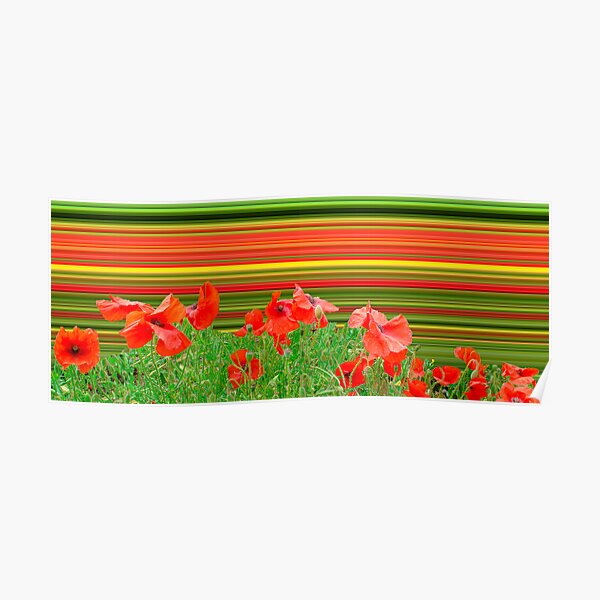Poppy explosion Poster