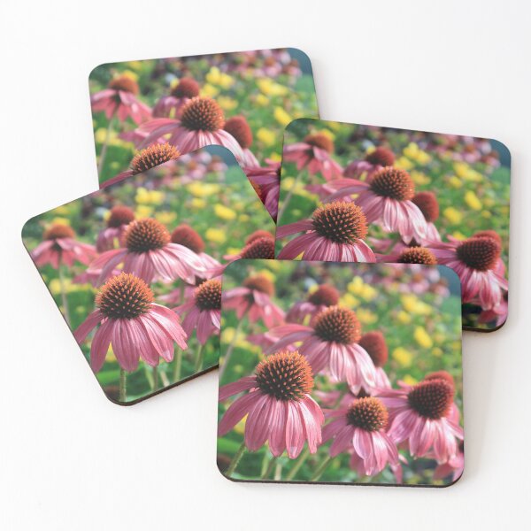 Item preview, Coneflowers and Tickseed designed and sold by StampCity.