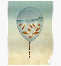 balloon fish 02 Poster