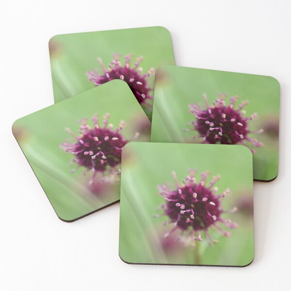 Item preview, Tilden wildflower designed and sold by Miriam Gordon.