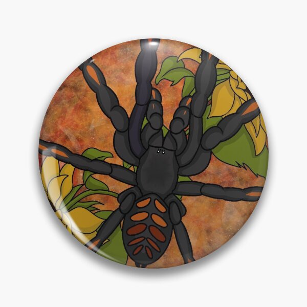 Item preview, Venezualan Suntiger Tarantula designed and sold by Invertart.