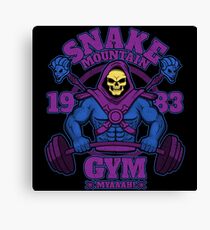 Lienzo Gimnasio Snake Mountain