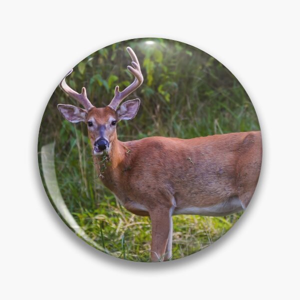 Item preview, Whitetail Buck  designed and sold by nscphotography.