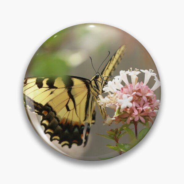 Item preview, Swallowtail Sipping Nectar designed and sold by StampCity.