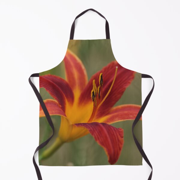 Item preview, Orange Daylily designed and sold by StampCity.
