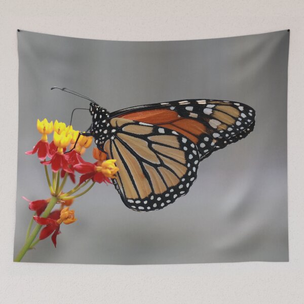 Item preview, Monarch on Milkweed designed and sold by StampCity.