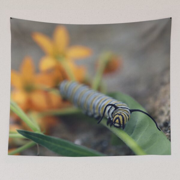 Item preview, Monarch Caterpillar Macro designed and sold by StampCity.