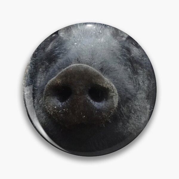 Item preview, Wild boar in Quebec, Canada designed and sold by cuisinecat2.