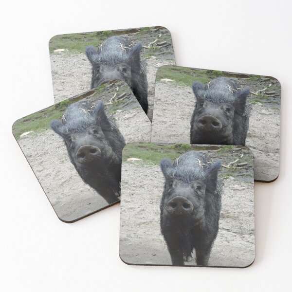 Item preview, Wild boar in Quebec, Canada designed and sold by cuisinecat2.