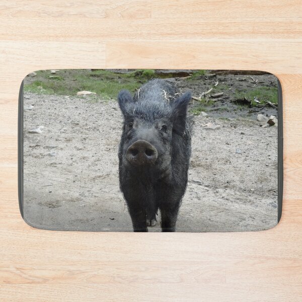Item preview, Wild boar in Quebec, Canada designed and sold by cuisinecat2.