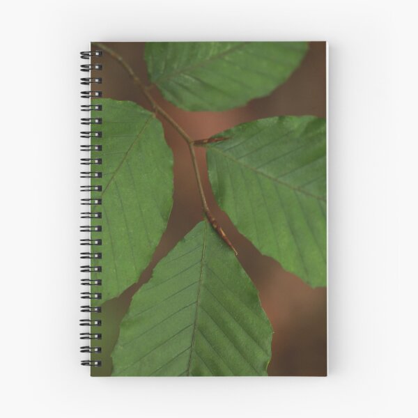 Item preview, Four Leaves designed and sold by StampCity.