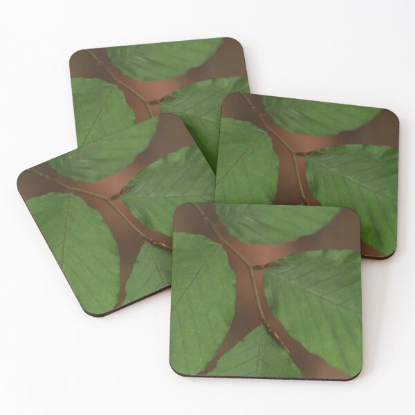 Item preview, Four Leaves designed and sold by StampCity.