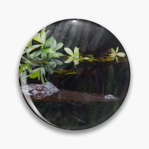 Item preview, Alligator Reflection in Swamp Water designed and sold by KbytesOfJax Outdoor and Nature.