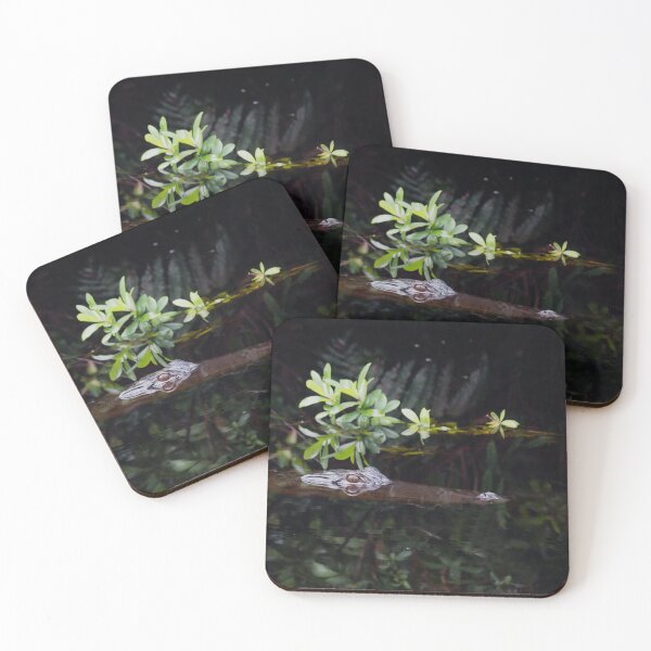 Item preview, Alligator Reflection in Swamp Water designed and sold by KbytesOfJax Outdoor and Nature.