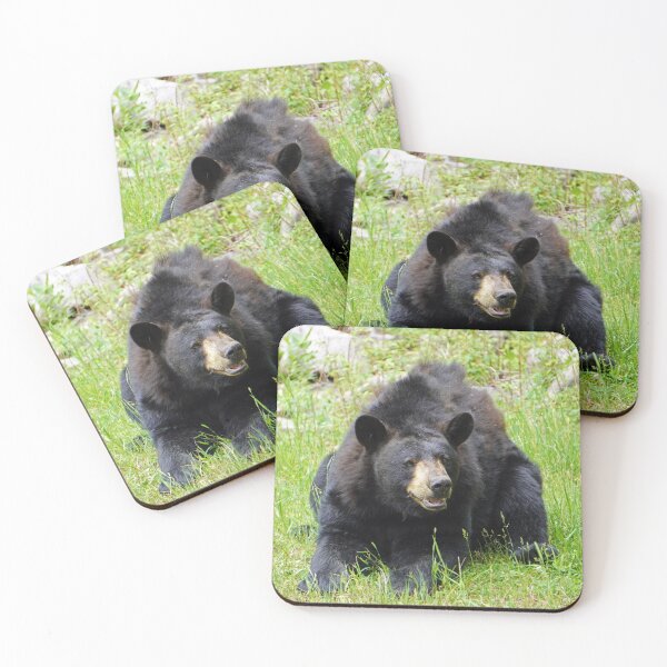 Item preview, Black bear in Quebec, Canada designed and sold by cuisinecat2.