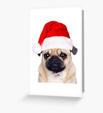 CHRISTMAS PUG Greeting Card