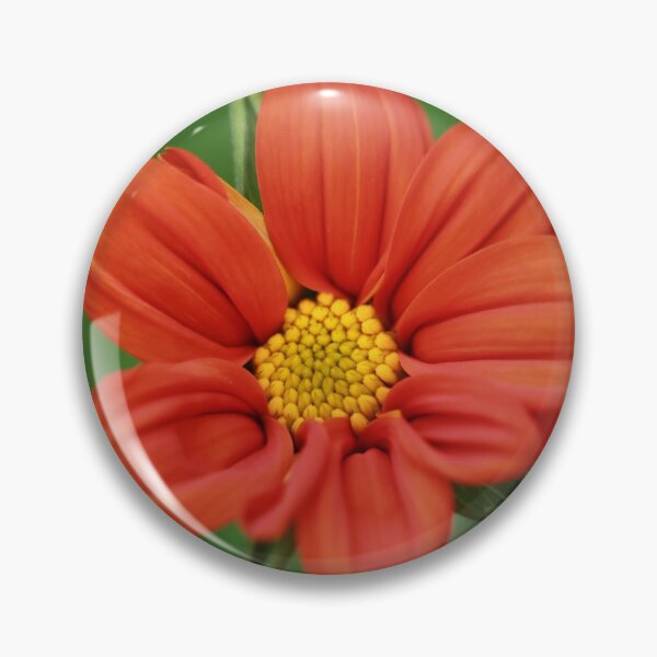 Artikelvorschau, Mexikanisches Sonnenblumenmakro entworfen und verkauft von StampCity.