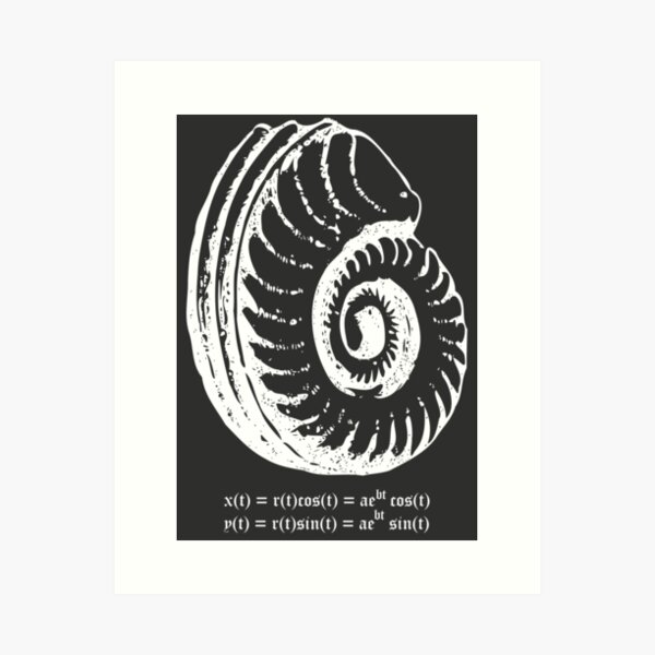 Spiral Shell with Math (white) Art Print